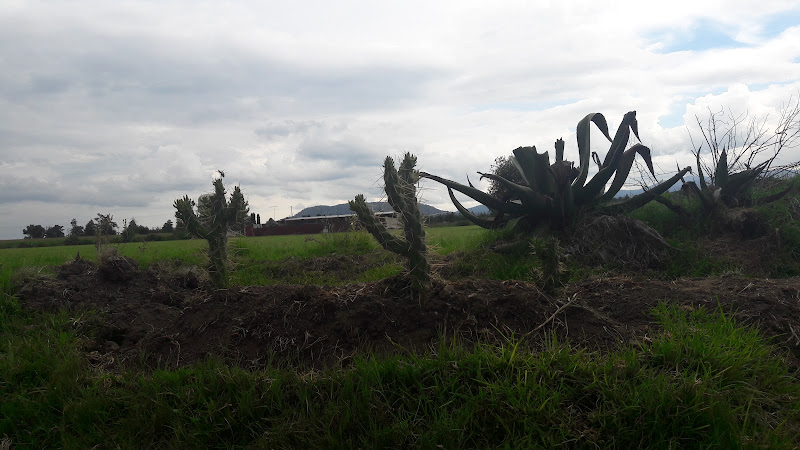 Negocio Cajas Corrugadas San Luis