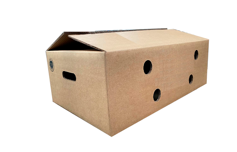 Negocio Cajas De Cartón Converbox