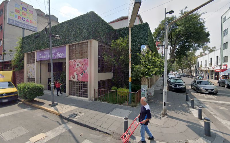 Negocio Cajas Rígidas