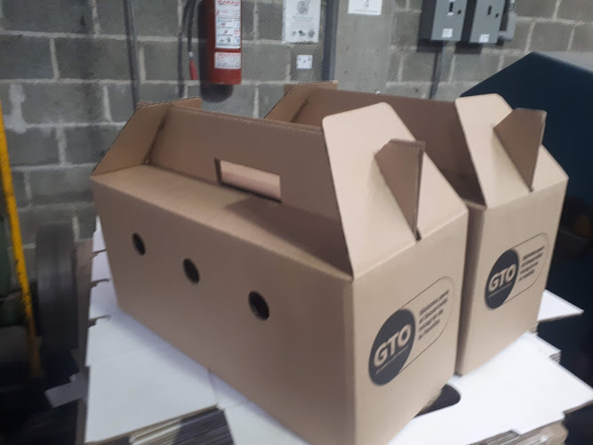 Negocio Cartón Y Cajas Del Norte S.a. De C.v.
