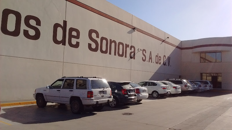 Negocio Cecso Celulosa Y Corrugados De Sonora