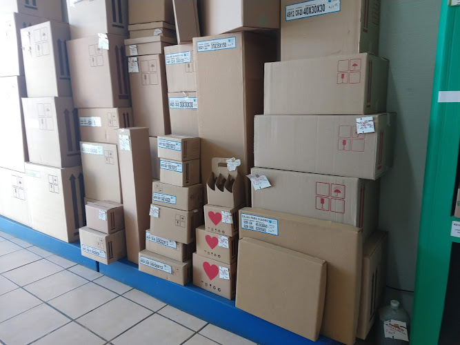 Negocio Diseños De Carton