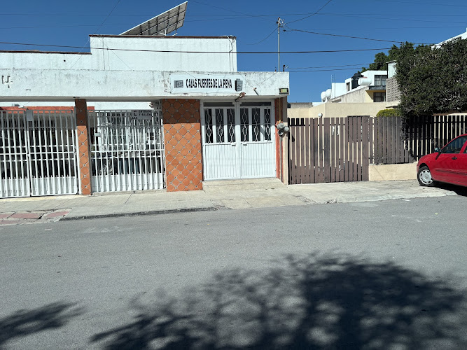 Negocio Distribuidores De Cajas Fuertes 