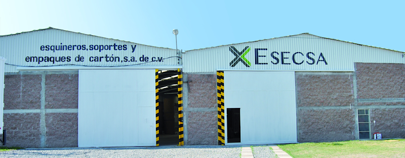 Negocio Esecsa Esquineros