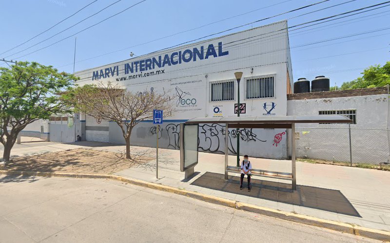 Marvi Internacional
