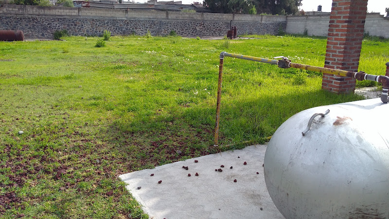 Negocio Soluciones Sig