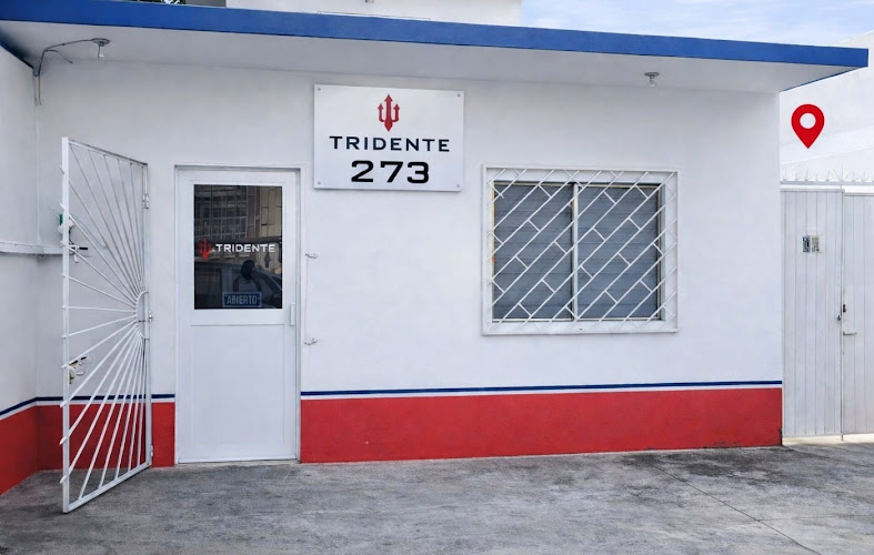 Negocio Tridente Suministros Industriales